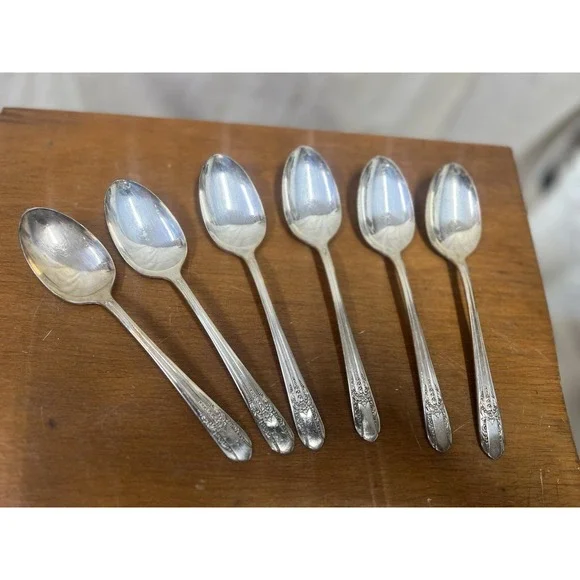 VTG WM. Rogers Mfg Co. Extra Plate 37 Piece Silverware Set in Box